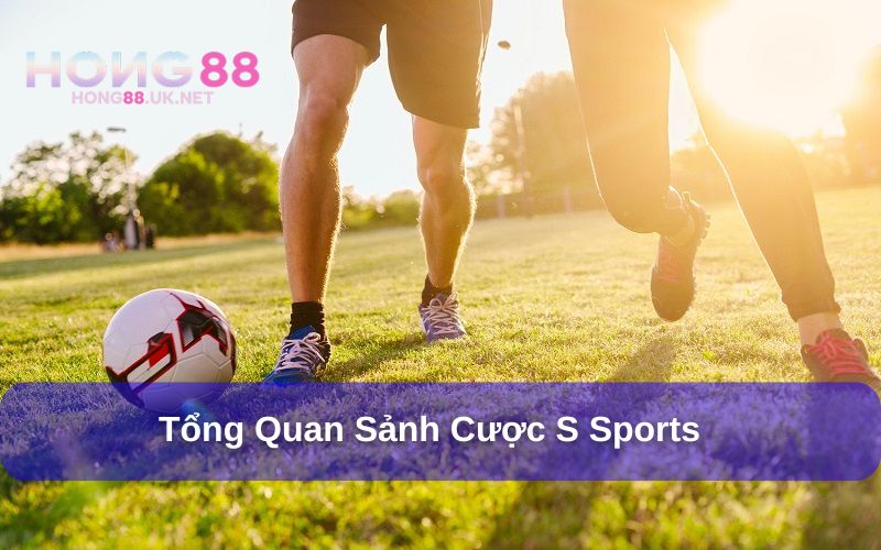 S Sports - Sảnh Cược Thể Thao Đình Đám, Trả Thưởng Cực Khủng