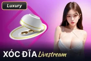 Hong88 | Nhà Cái Cá Cược Trực Tuyến Đẳng Cấp Uy Tín 23 Xóc dĩa livestream